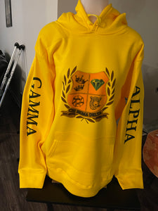 Chi Sigma Delta Hoodie